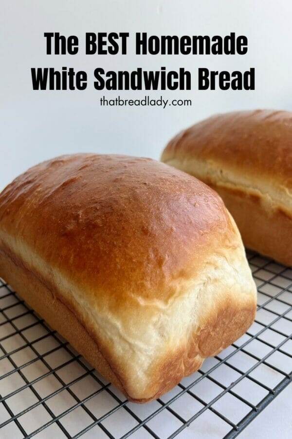 The Best Homemade White Sandwich Bread - That Bread Lady