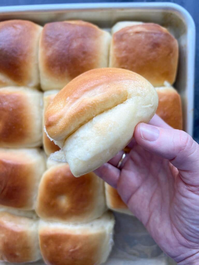 Side view of a baked Parker House Roll.