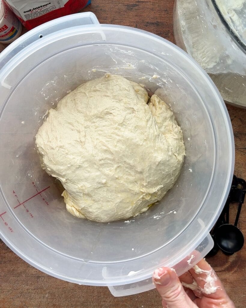 Focaccia dough in a plastic container.